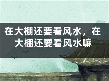 在大棚还要看风水，在大棚还要看风水嘛