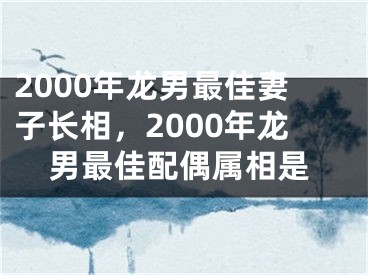 2000年龙男最佳妻子长相，2000年龙男最佳配偶属相是