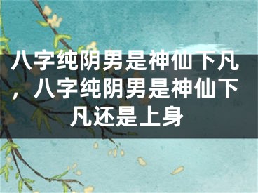 八字纯阴男是神仙下凡，八字纯阴男是神仙下凡还是上身