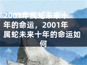 2001年属蛇未来十年的命运，2001年属蛇未来十年的命运如何