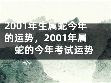 2001年生属蛇今年的运势，2001年属蛇的今年考试运势