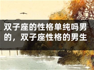 双子座的性格单纯吗男的，双子座性格的男生