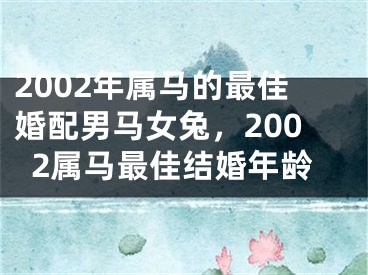 2002年属马的最佳婚配男马女兔，2002属马最佳结婚年龄