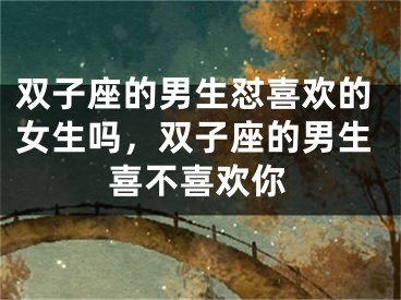 双子座的男生怼喜欢的女生吗，双子座的男生喜不喜欢你