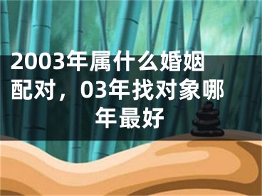2003年属什么婚姻配对，03年找对象哪年最好