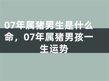 07年属猪男生是什么命,07年属猪男孩一生运势