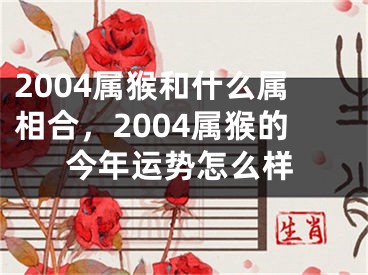 2004属猴和什么属相合,2004属猴的今年运势怎么样