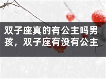 双子座真的有公主吗男孩，双子座有没有公主