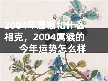 2004年属猴和什么相克，2004属猴的今年运势怎么样