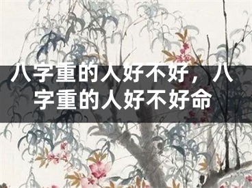 八字重的人好不好，八字重的人好不好命