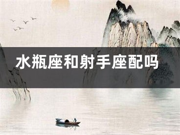 水瓶座和射手座配吗
