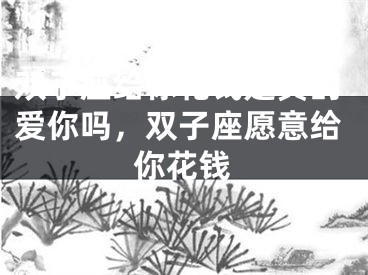 双子座给你花钱是真的爱你吗，双子座愿意给你花钱