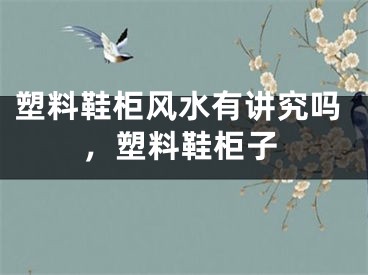塑料鞋柜风水有讲究吗，塑料鞋柜子