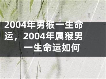 2004年男猴一生命运，2004年属猴男一生命运如何