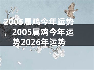2005属鸡今年运势，2005属鸡今年运势2026年运势