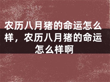 农历八月猪的命运怎么样，农历八月猪的命运怎么样啊
