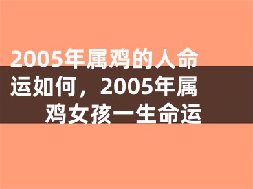 2005年属鸡的人命运如何，2005年属鸡女孩一生命运