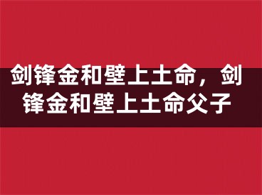 剑锋金和壁上土命，剑锋金和壁上土命父子