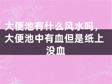 大便池有什么风水吗，大便池中有血但是纸上没血