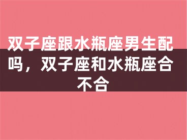 双子座跟水瓶座男生配吗，双子座和水瓶座合不合