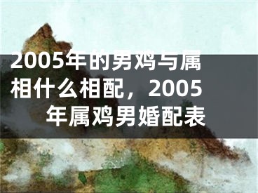 2005年的男鸡与属相什么相配，2005年属鸡男婚配表