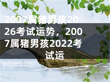 2007属猪男孩2026考试运势,2007属猪男孩2022考试运