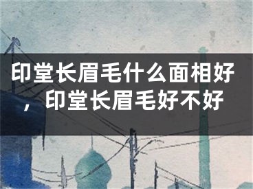 印堂长眉毛什么面相好,印堂长眉毛好不好
