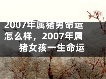 2007年属猪男命运怎么样，2007年属猪女孩一生命运