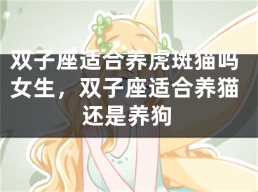双子座适合养虎斑猫吗女生，双子座适合养猫还是养狗