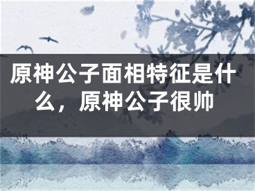 原神公子面相特征是什么，原神公子很帅