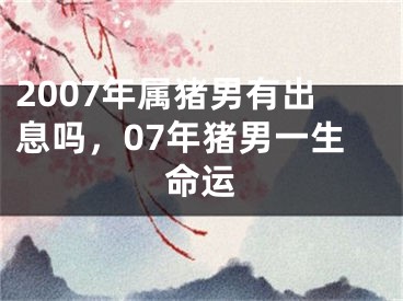 2007年属猪男有出息吗，07年猪男一生命运
