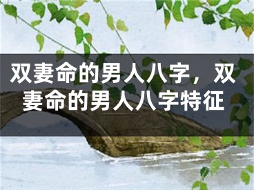 双妻命的男人八字，双妻命的男人八字特征