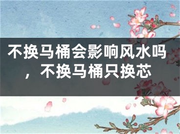不换马桶会影响风水吗，不换马桶只换芯