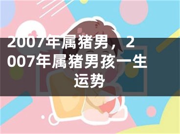 2007年属猪男，2007年属猪男孩一生运势