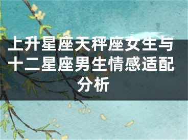 上升星座天秤座女生与十二星座男生情感适配分析