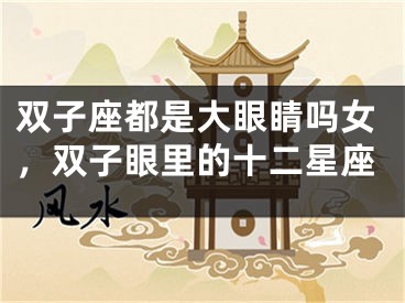 双子座都是大眼睛吗女，双子眼里的十二星座