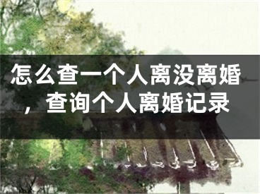 怎么查一个人离没离婚，查询个人离婚记录