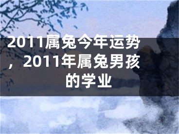 2011属兔今年运势，2011年属兔男孩的学业