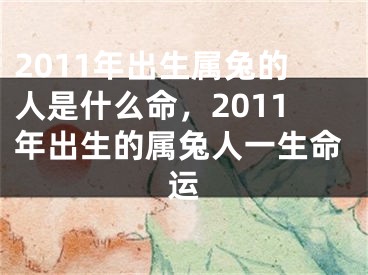 2011年出生属兔的人是什么命，2011年出生的属兔人一生命运