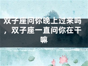 双子座问你晚上过来吗,双子座一直问你在干嘛
