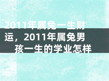 2011年属兔一生财运，2011年属兔男孩一生的学业怎样
