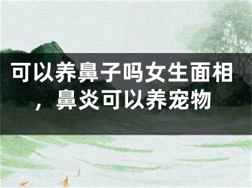 可以养鼻子吗女生面相,鼻炎可以养宠物