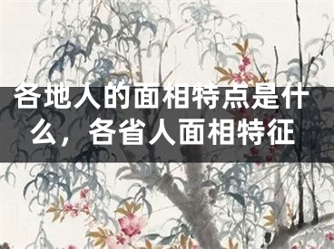 各地人的面相特点是什么，各省人面相特征