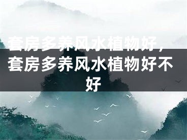 套房多养风水植物好，套房多养风水植物好不好