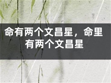 命有两个文昌星,命里有两个文昌星