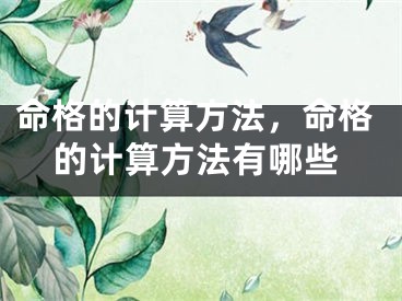 命格的计算方法，命格的计算方法有哪些