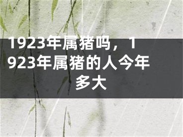 1923年属猪吗，1923年属猪的人今年多大