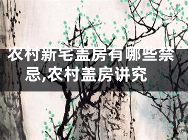农村新宅盖房有哪些禁忌,农村盖房讲究