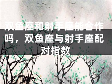 双鱼座和射手座能合作吗，双鱼座与射手座配对指数