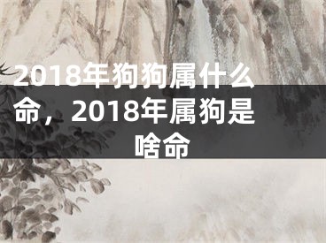 2018年狗狗属什么命，2018年属狗是啥命